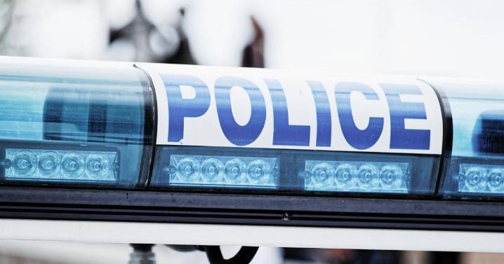 Homeland Security wants state driver’s license data for sweeping citizenship program