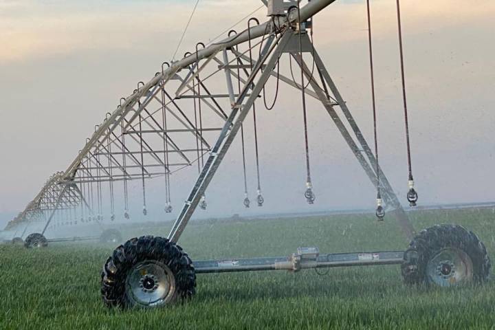 Por US$185 millones. En los últimos dos años, 63.400 hectáreas se sumaron al riego agrícola