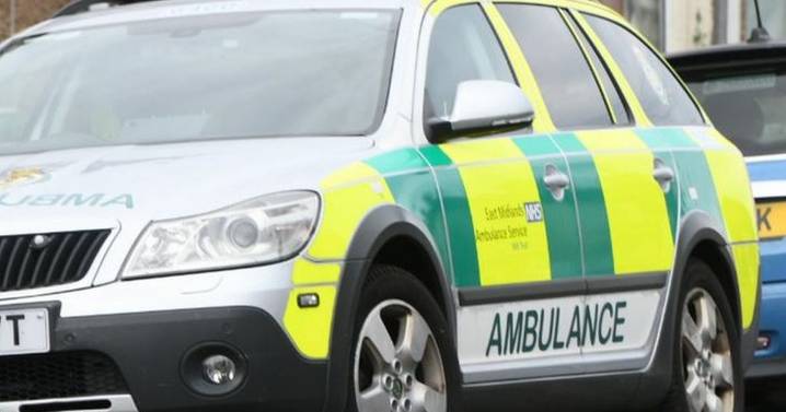 Plans to scrap half of ambulance service’s fast response cars will put lives at risk
