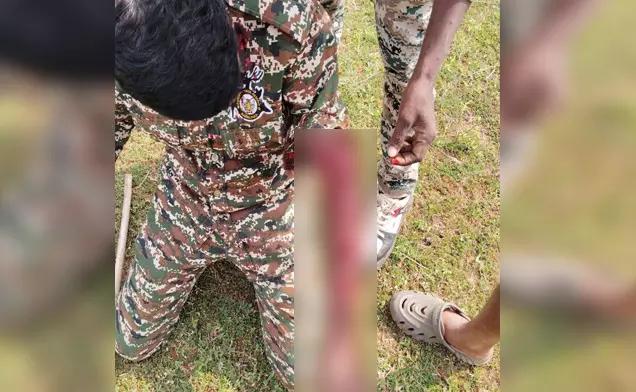 Chamarajanagar: Forest staffer injured in leopard attack during c...