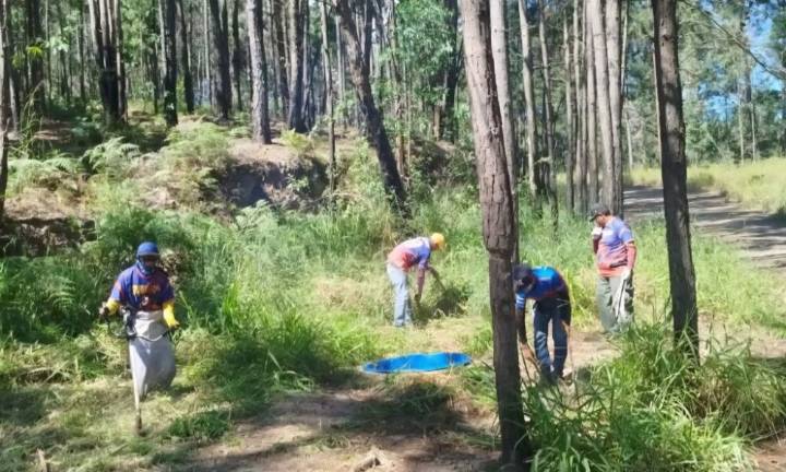 Gobierno de Carabobo realizó inspección preventiva contra incendios en Cerro El Café