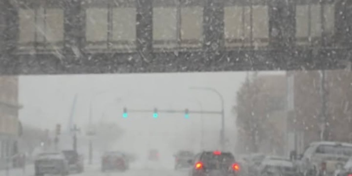 Gallery: Snow from around the Siouxland area