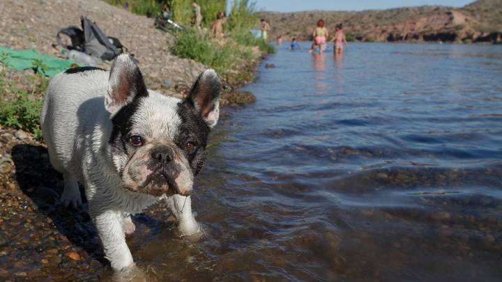 Clima en Neuquén: jornada calurosa en los valles y alerta de tormentas en el norte de Neuquén