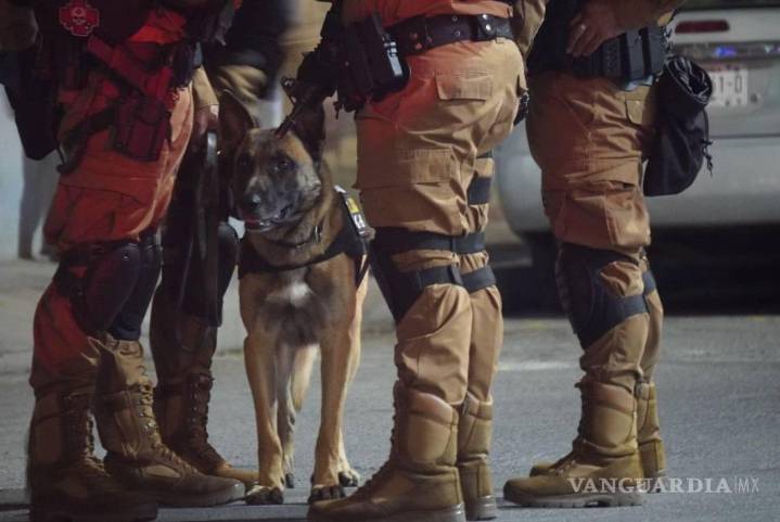 Cateo en Nueva Rosita deja tres detenidos y dos menores bajo resguardo