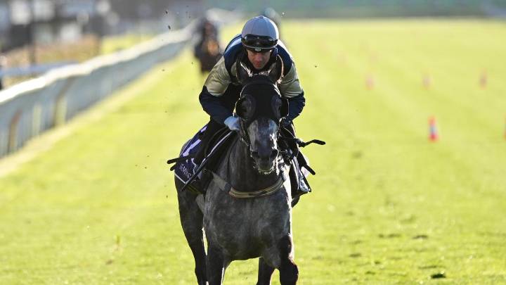 Melbourne Cup 2025 tips, expert predictions, betting, who will win, picks for trifecta, first four, analysis