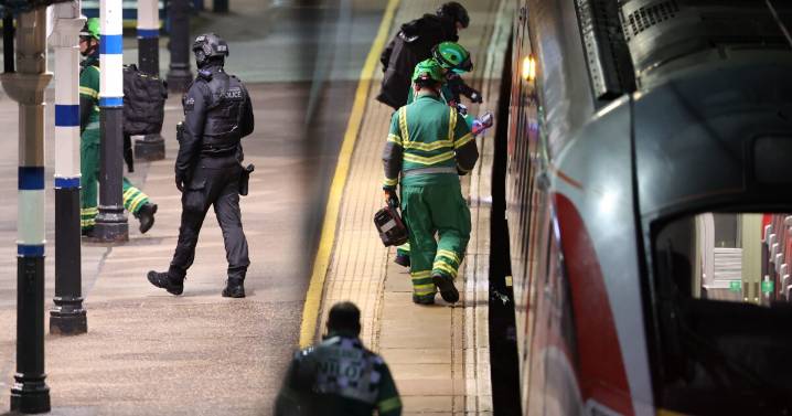 UK police say 10 people hospitalized after train stabbing attack, 9 with life