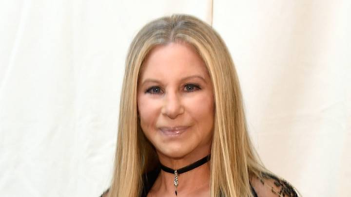 Barbra Streisand shares very rare picture of family life with private stepdaughter and grandkids on Thanksgiving