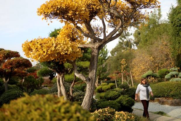 Busting the myth that California doesn’t have cold