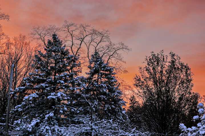 Season’s first snowfall coming for Upstate NY: Winter alerts issued