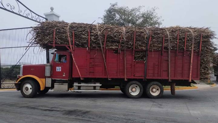 Cañeros enfrentan zafra con expectativa de apoyo