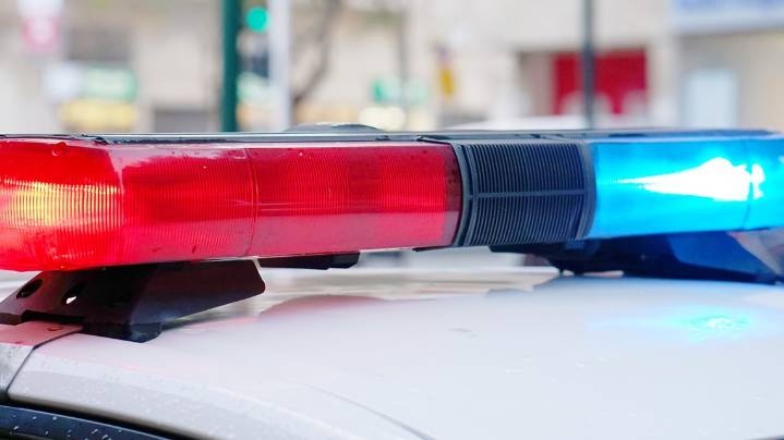 Barberton dog attack sends 2 children and neighbor to hospital