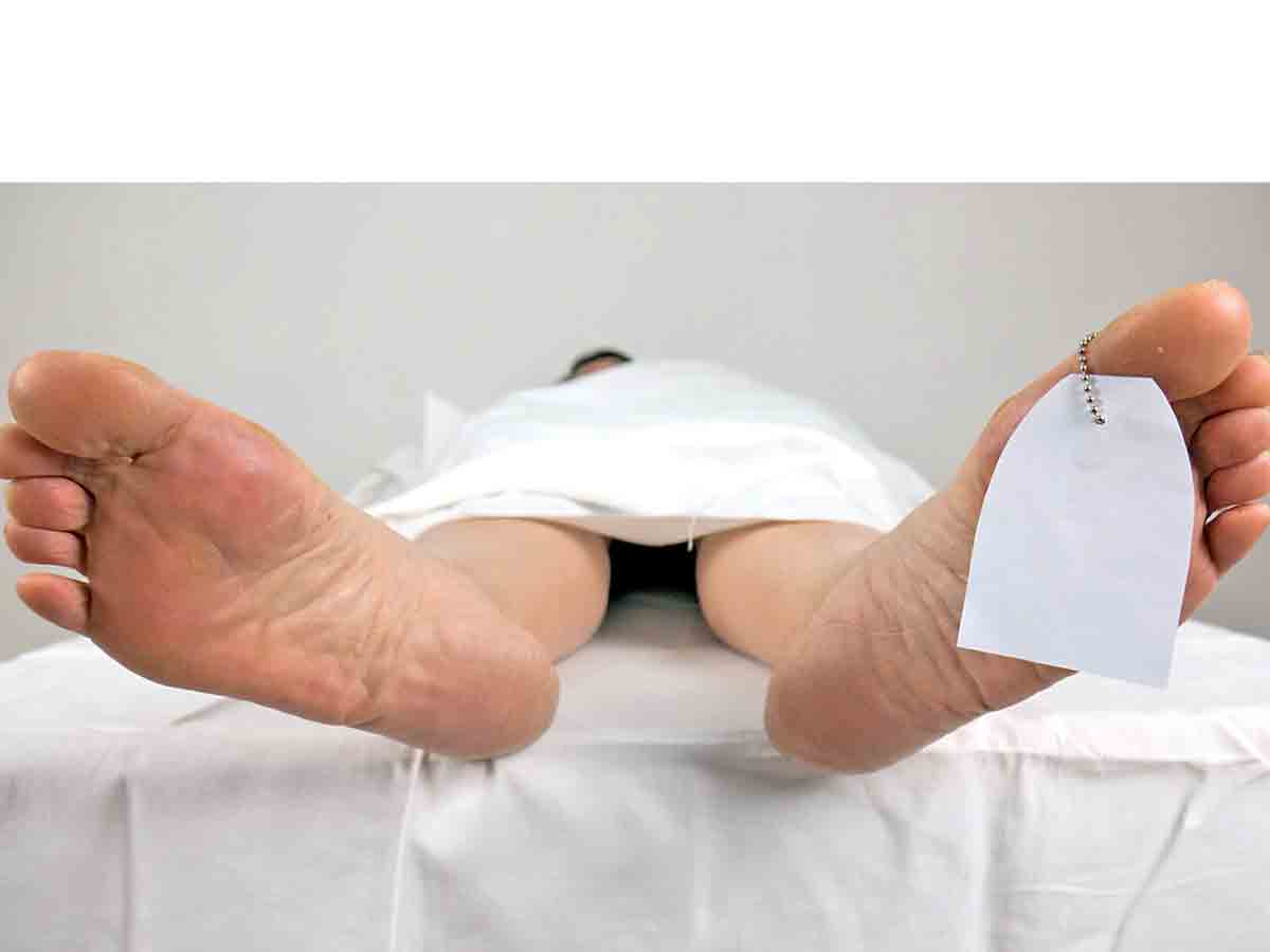 Poder Judicial ha enviado 208 cádaveres a escuelas; no identificados