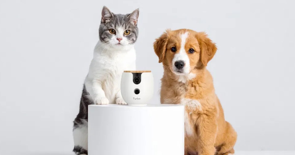 This May Be The Best Black Friday Pet Camera Deal Of 2025