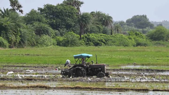 Tractor sales touch all-time high in October driven by GST cut and favourable monsoon