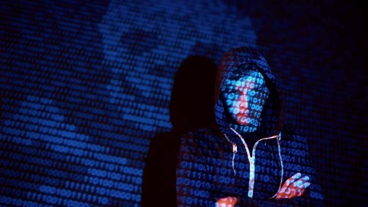 Goa Police intensify cybercrime fight: 767 scam numbers blocked, 660 fraudulent platforms dismantled