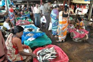 Kadaba: Rival vendors make waves with unbelievable fish offers