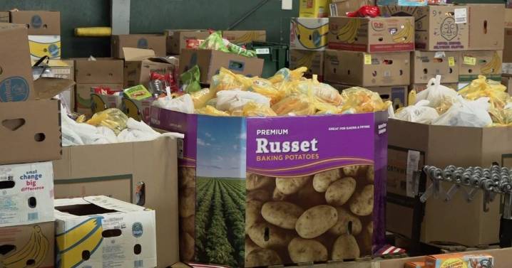 As SNAP benefits return, Placer County food banks continue to see record demand