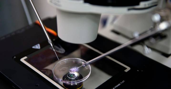 La OMS lanza una guía para prevenir la infertilidad, que afecta a una de cada seis personas