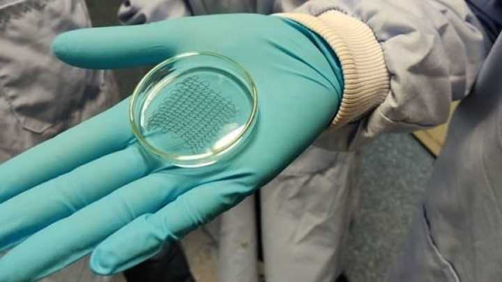 Científicos británicos logran un parche que regenera el tejido cardíaco tras un infarto: un avance que podría cambiar la medicina