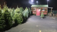 Martin's Christmas Tree Lot in Jeffersonville opens for its 57th season
