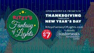 Ritzy's Fantasy of Lights returns to aid Easterseals center