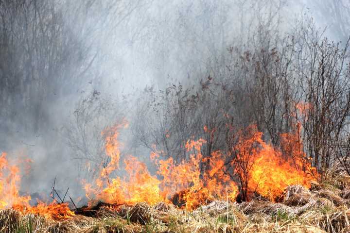 Duluth man pleads guilty to starting Camp House Fire