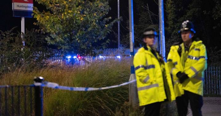 'Run, there's a guy literally stabbing everyone' - eyewitnesses tell of horror on train