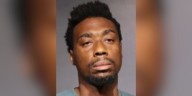 Man arrested after slapping a Jacksonville deputy’s horse at Florida