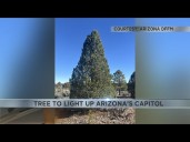 Gift from the Hualapai Tribe to light up the Arizona State Capitol