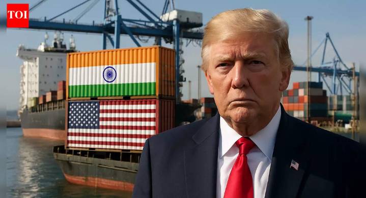 Trade outlook: India’s exports hold steady amid Donald Trump tariffs; new markets offset US slowdown
