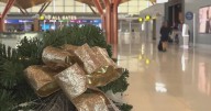 Thousands expected to pass through Pittsburgh's new airport terminal for Thanksgiving