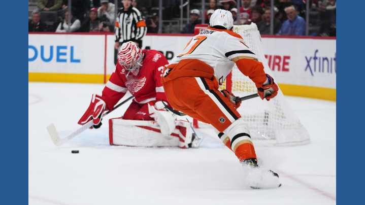 Alex DeBrincat scores twice, Red Wings beat Ducks 6