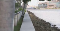 Push for homeowner association reform brews in Brickell Key as seawall replacement costs, developer control has residents worried