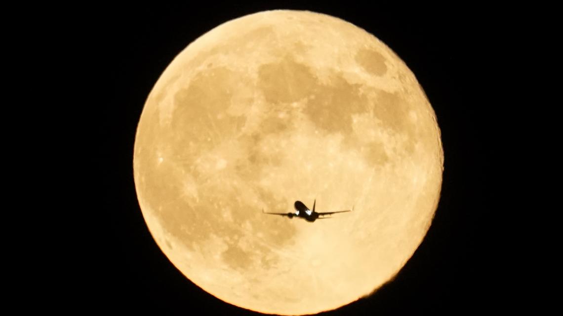 November’s Super Beaver Moon will be the closest and brightest of the year