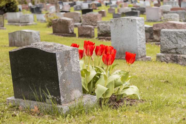 N.J. cemetery buries stranger in family plot, refuses to move body, lawsuit says