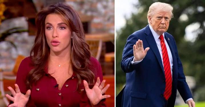 'I Think It's PR': The View's Alyssa Farah Griffin Doesn't Believe Donald Trump Really Changed His Mind About Wanting Epstein Files Released