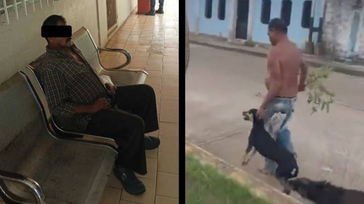 Liberan con cautelar a ciudadano acusado de agredir a su perra