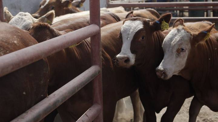 Tráfico de la Ciudad de México