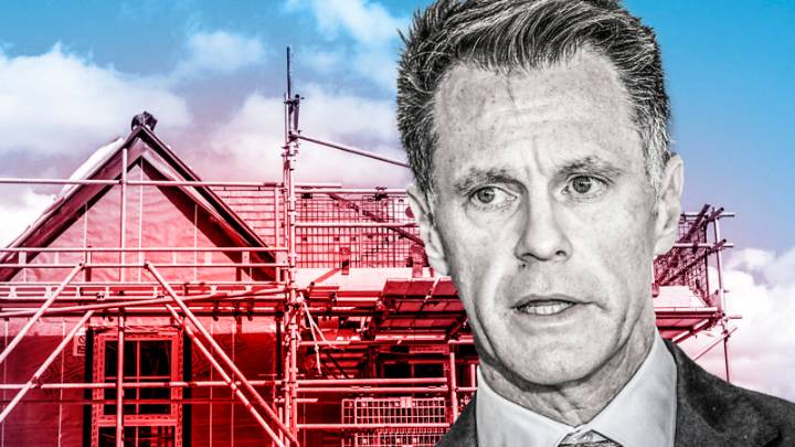 Immigration and politics in Australia: New poll reveals how Sydneysiders feel about immigration amid the housing crisis and cost