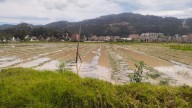 Al menos nueve viviendas resultaron afectadas en Sogamoso por inundaciones
