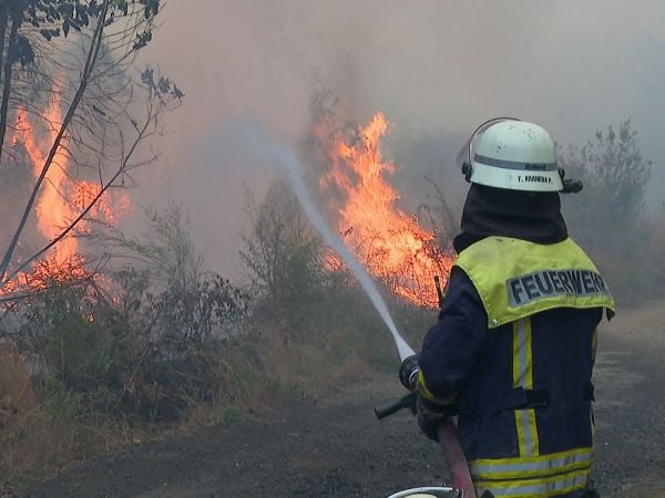 Controlan forestal incendio en Santa Bárbara