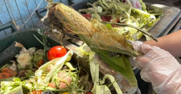 Comunidades y acción climática: Fundación Basura presentará en la COP30 su proyecto “Ferias Libres Cero Desperdicio”