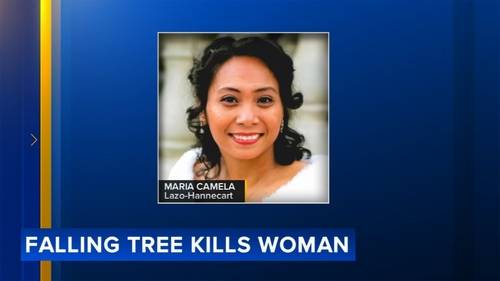 Husband mourns loss of wife and mother of 3 killed by falling tree in Philadelphia