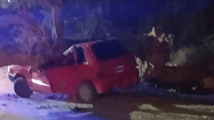 El viento provocó otro hecho con un árbol y un auto quedó aplastado