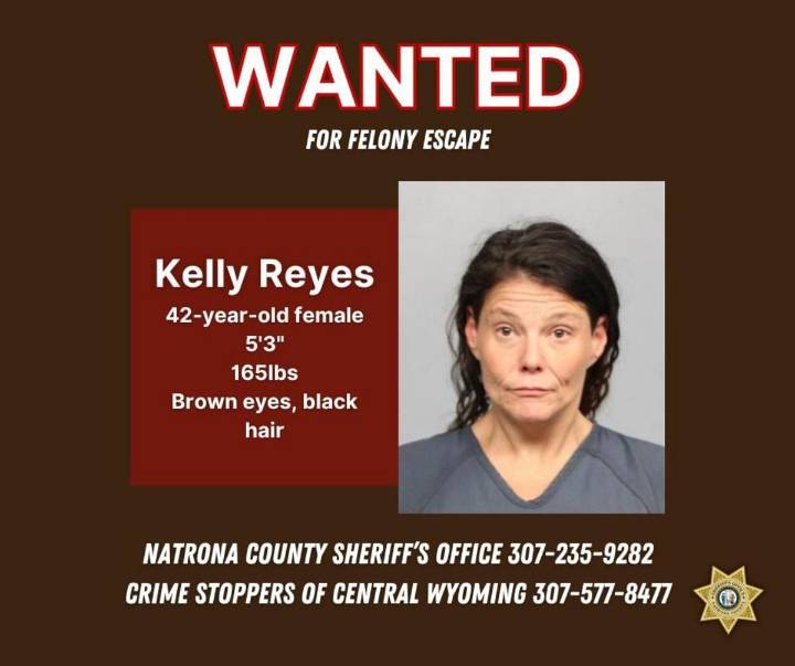 Local Authorities Need Your Help Finding A Missing Woman