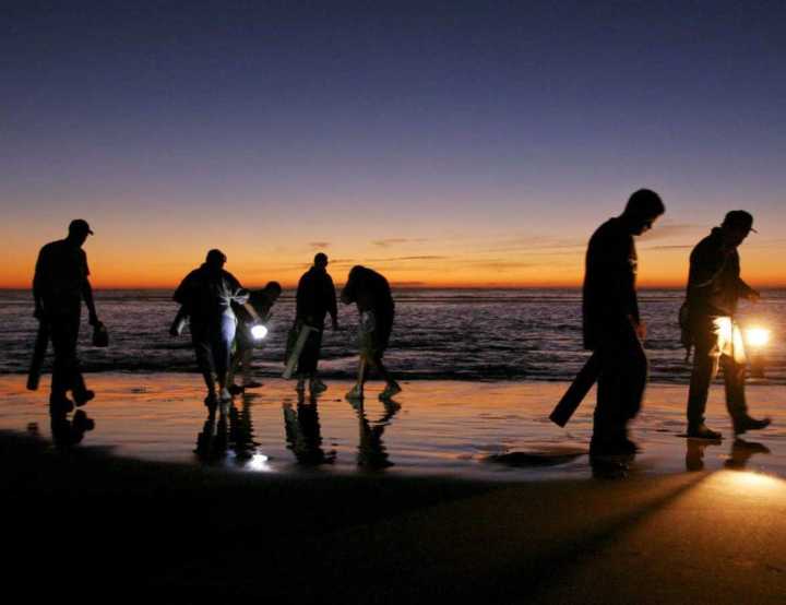 Field notes: WDFW approves seven days of coastal razor clam digs starting Dec. 2