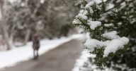 First snowfall of the season expected in the GTA this week: Environment Canada