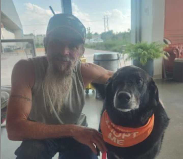 Todo sobre el Mes Nacional de las Mascotas Mayores