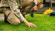 What Does It Mean When Your Lawn Feels Spongy? Top Causes And Solutions