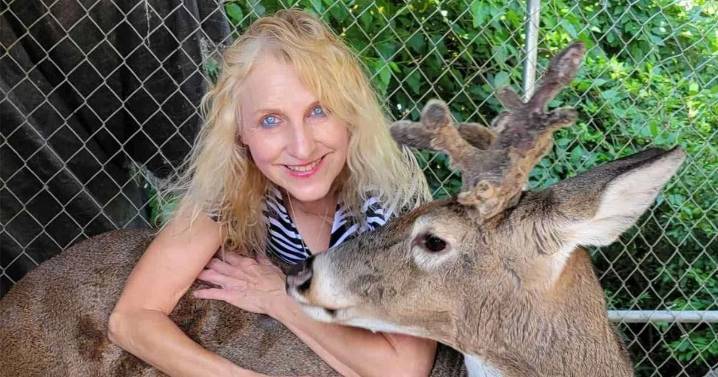 Grandma mauled to death by deer she rescued and tried to domesticate